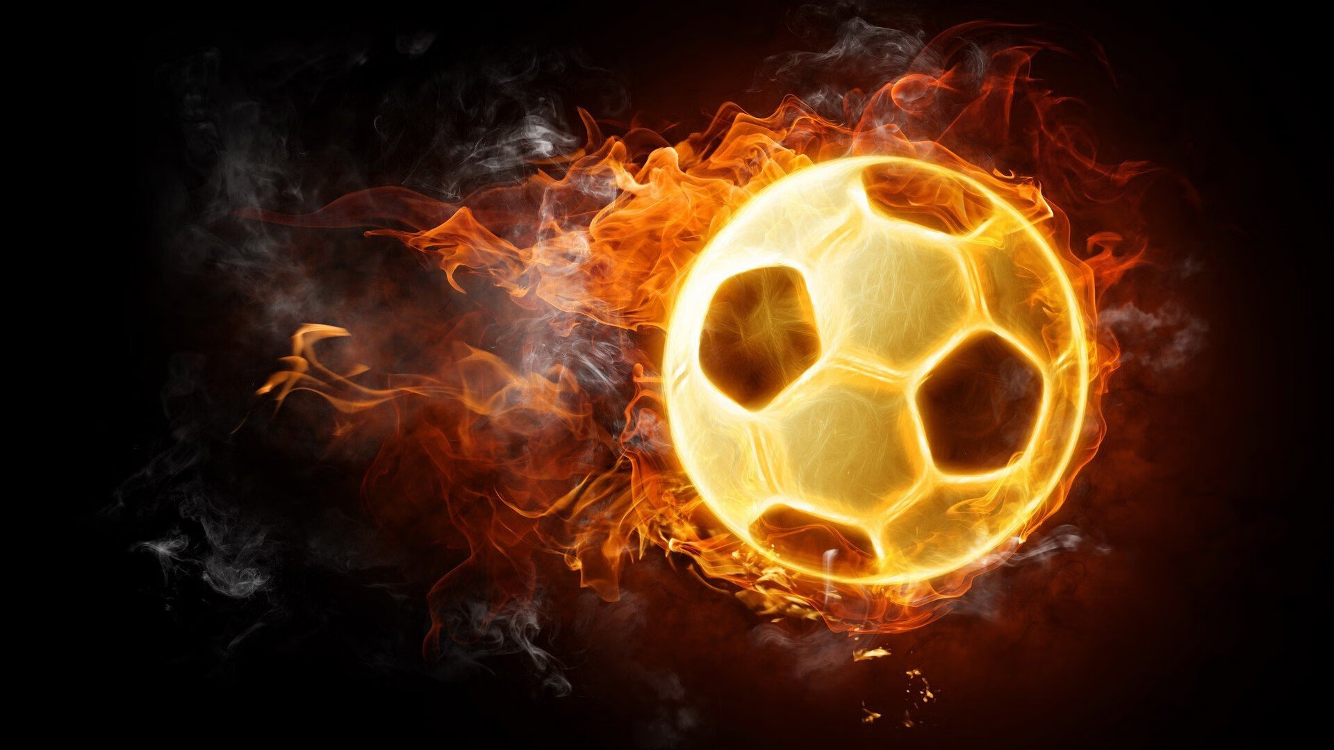 “武术精英汇聚高新体育中心,冠军之争即将上演”