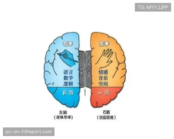 深度：职业指挥在CS2快节奏下的临场调整逻辑🧠